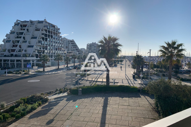 Photo Apartment La Grande-Motte Centre ville,  Rentals apartment  2 rooms   40&nbsp;m&sup2;