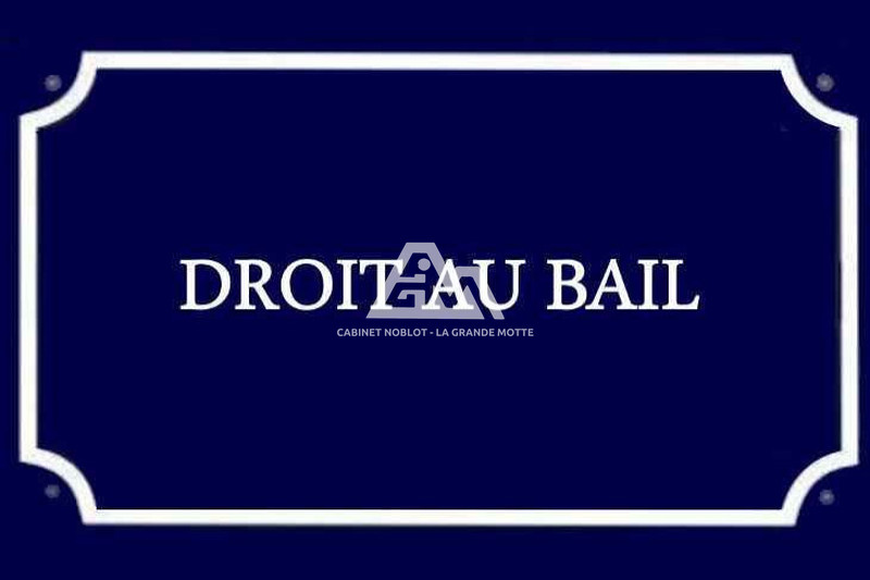  La Grande-Motte Centre ville,  Professionnel    76&nbsp;m&sup2;