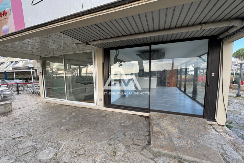 Professionnel local commercial La Grande-Motte  
