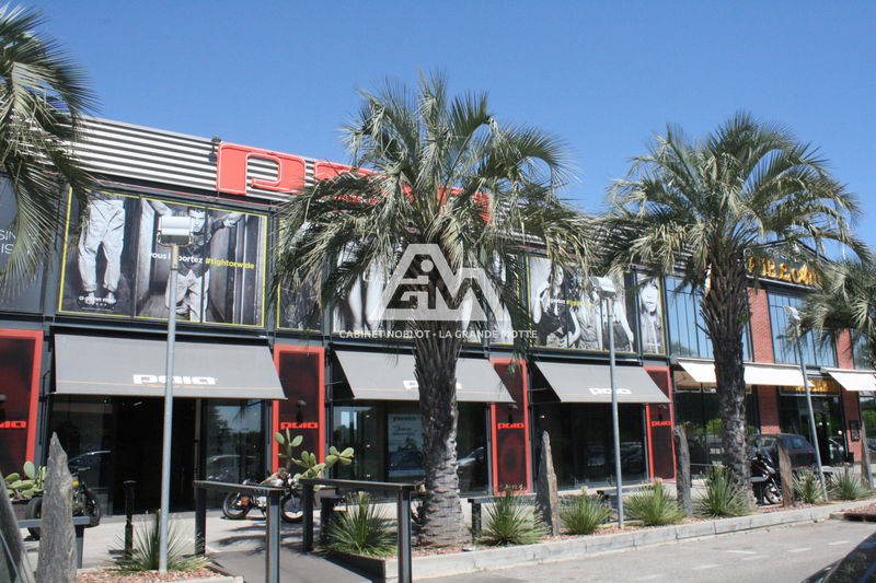 vente Locaux vente local professionnel Lattes Local professionnel Lattes Professionnel local professionnel 705 m²