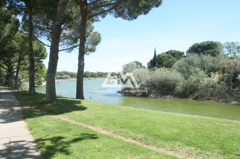 vente Appartement La grande-motte Ponant Appartement La Grande-Motte Ponant, achat appartement 3 pièces 54 m²