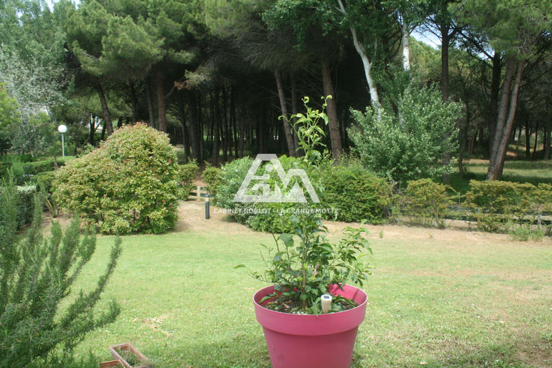Photo P3 La Grande-Motte Golf, achat p3 3 pièces 77 m²