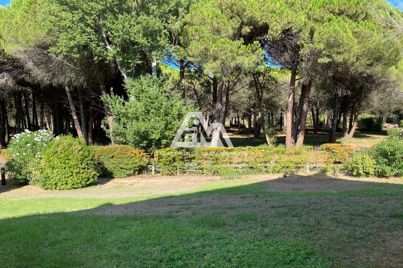 Photo P3 La Grande-Motte Golf, achat p3 3 pièces 77 m²