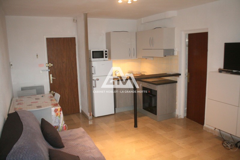 vente Appartement La grande-motte Centre ville Appartement La Grande-Motte Centre ville, achat appartement 2 pièces 35 m²