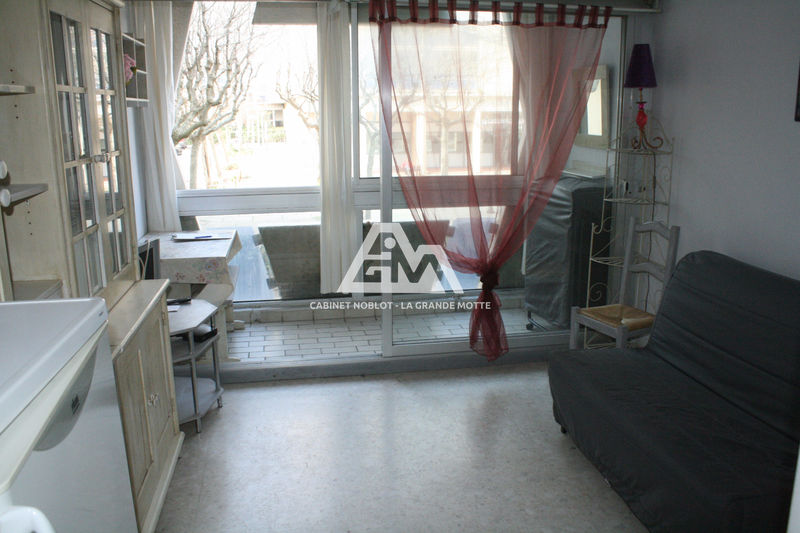 vente Appartement La grande-motte Centre ville Appartement La Grande-Motte Centre ville, achat appartement 1 pièce 18 m²