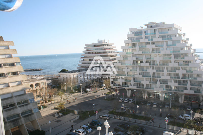 Photo Appartement La Grande-Motte Centre ville, achat appartement 2 pièces 37 m²