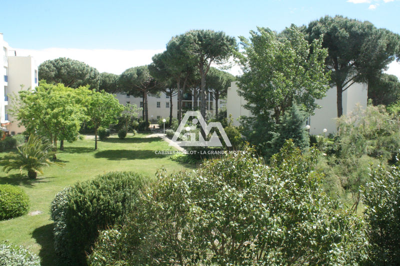 vente Appartement La grande-motte Ponant Appartement La Grande-Motte Ponant, achat appartement 2 pièces 39 m²