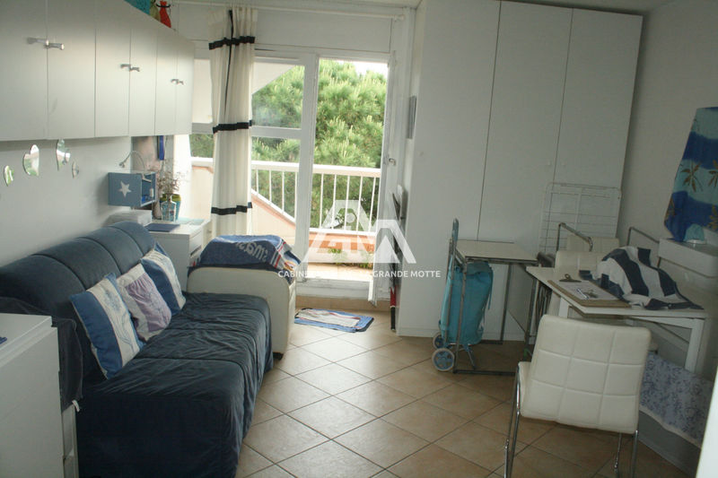 vente Appartement studio cabine La grande-motte Ponant Studio cabine La Grande-Motte Ponant, achat studio cabine 1 pièce 22 m²