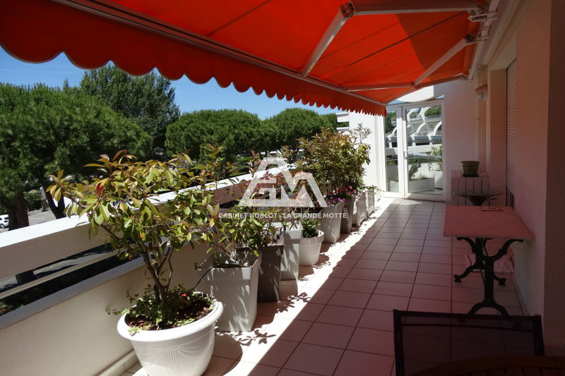 Photo Appartement La Grande-Motte Golf, achat appartement 3 pièces 88 m²