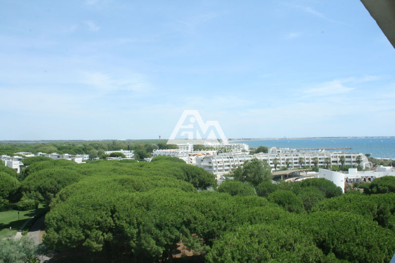 vente Appartement La grande-motte Centre ville Appartement La Grande-Motte Centre ville, achat appartement 2 pièces 57 m²