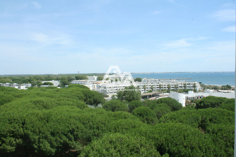 vente Appartement La grande-motte Centre ville Appartement La Grande-Motte Centre ville, achat appartement 2 pièces 57 m²