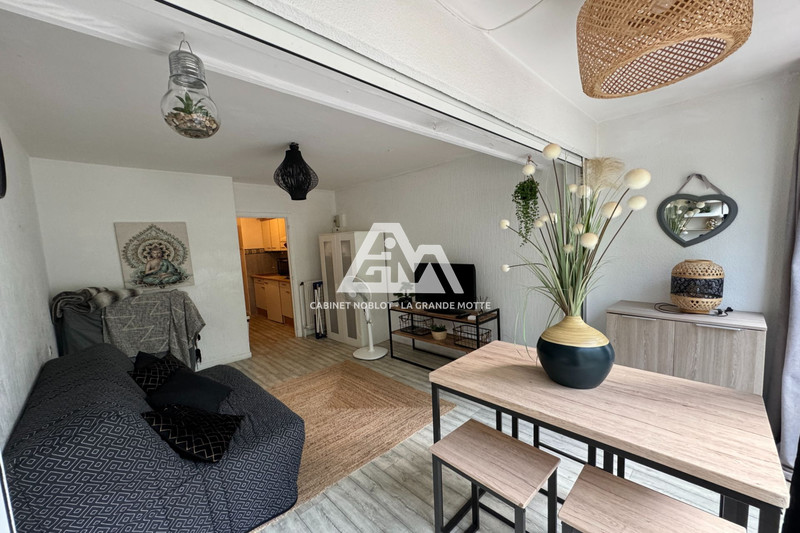 Apartment La Grande-Motte Centre ville,   to buy apartment  1 room   22&nbsp;m&sup2;