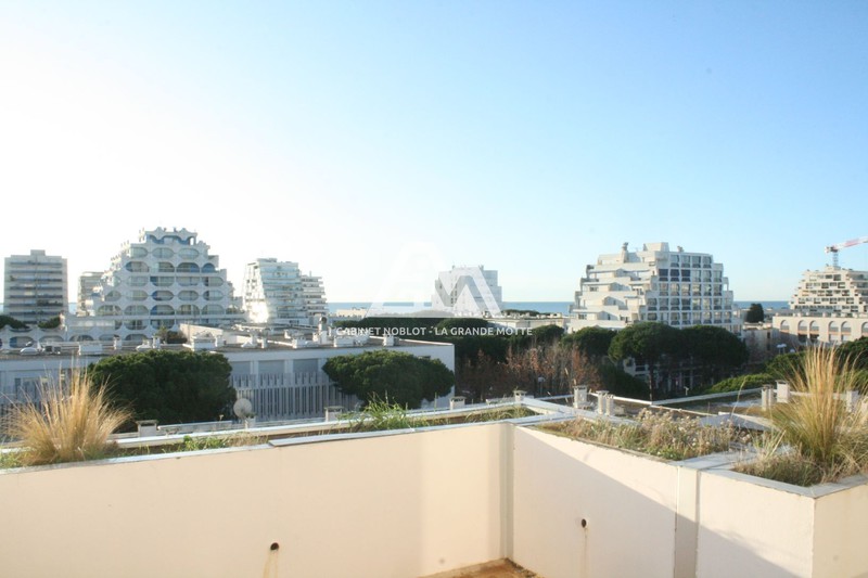 Photo Appartement La Grande-Motte Centre ville, achat appartement 3 pièces 50 m²