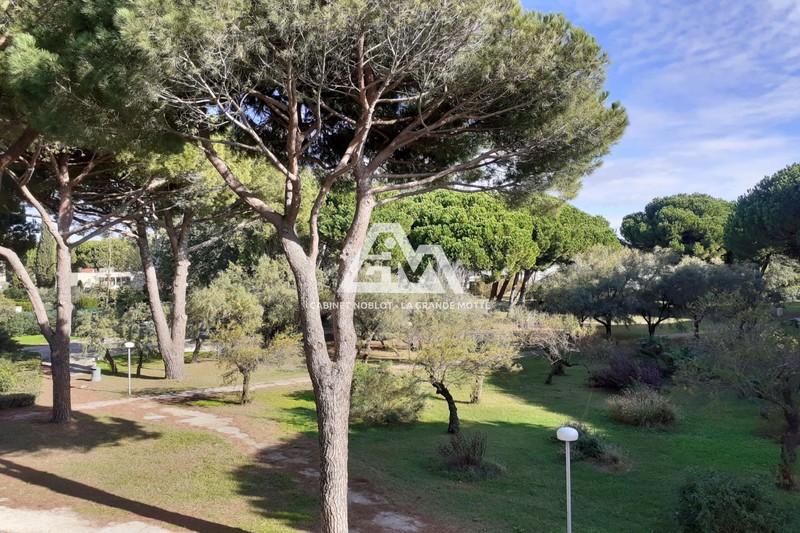 vente Appartement p1 La grande-motte Centre ville P1 La Grande-Motte Centre ville, achat p1 1 pièce 38 m²