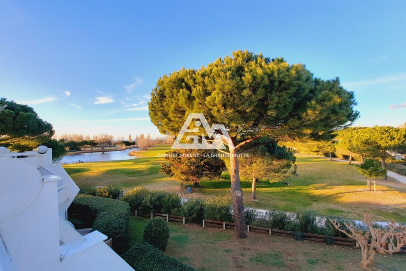 vente Appartement La grande-motte Golf Appartement La Grande-Motte Golf, achat appartement 2 pièces 29 m²