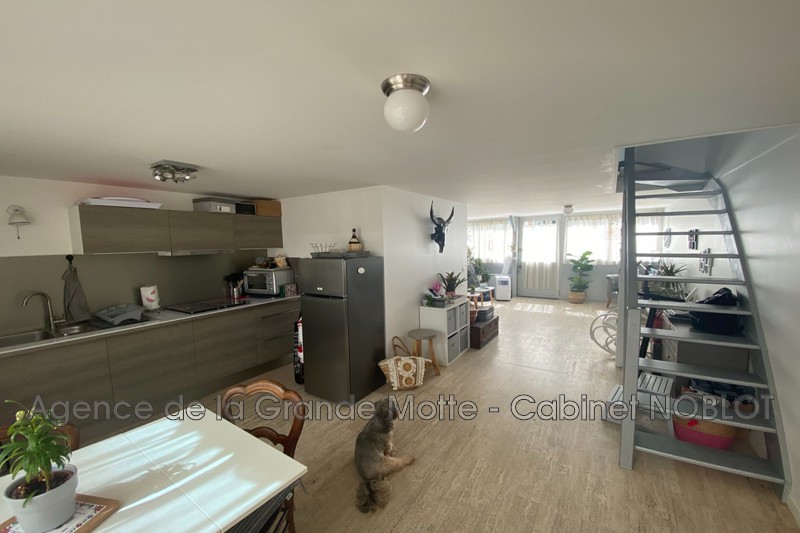 Photo Apartment La Grande-Motte Centre ville,   to buy apartment  3 rooms   78&nbsp;m&sup2;