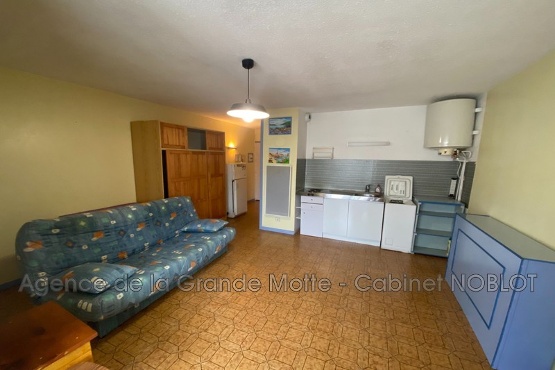 Photo Apartment La Grande-Motte Centre ville,   to buy apartment  1 room   33&nbsp;m&sup2;