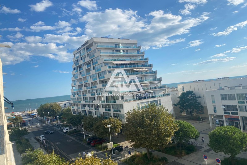 Appartement La Grande-Motte Centre ville,  Viager appartement  2 pièces   31&nbsp;m&sup2;