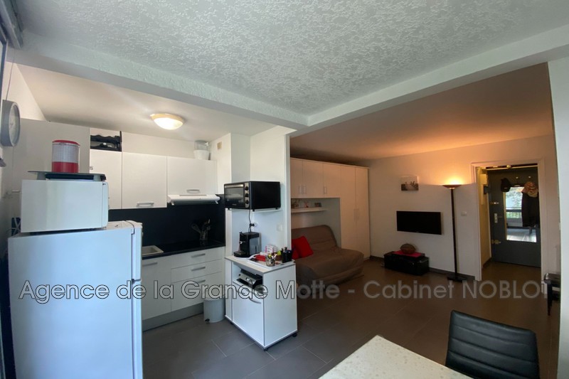 Photo Appartement La Grande-Motte Centre ville,   achat appartement  1 pièce   26&nbsp;m&sup2;