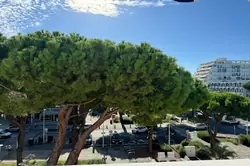 Vente appartement La Grande-Motte  