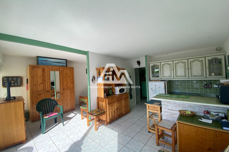 Photo Appartement La Grande-Motte Ponant,   achat appartement  2 pièces   34&nbsp;m&sup2;