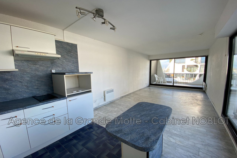 Apartment La Grande-Motte Centre ville,   to buy apartment  2 rooms   44&nbsp;m&sup2;