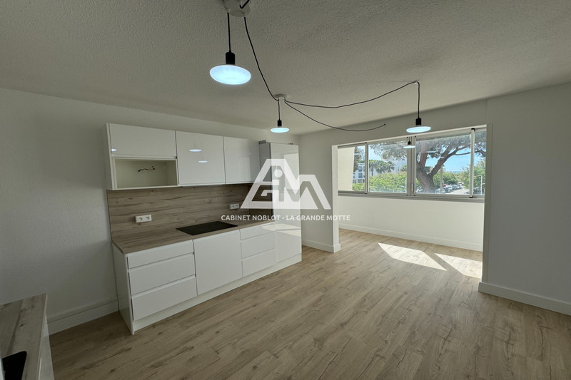 Photo Appartement La Grande-Motte Centre ville,   achat appartement  3 pièces   39&nbsp;m&sup2;
