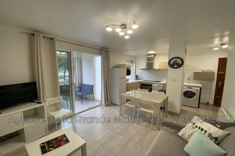 Photo Apartment La Grande-Motte Point zéro,   to buy apartment  2 rooms   31&nbsp;m&sup2;