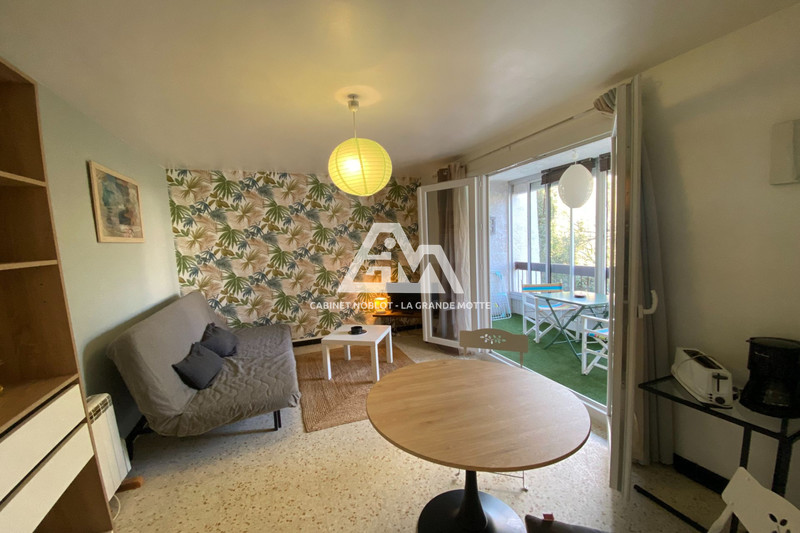 Apartment La Grande-Motte Centre ville,   to buy apartment  1 room   21&nbsp;m&sup2;