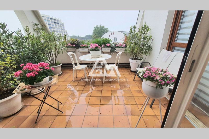 Apartment La Grande-Motte Centre ville,   to buy apartment  3 rooms   58&nbsp;m&sup2;