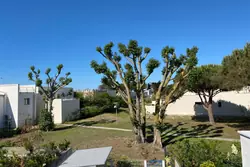 Vente appartement La Grande-Motte  