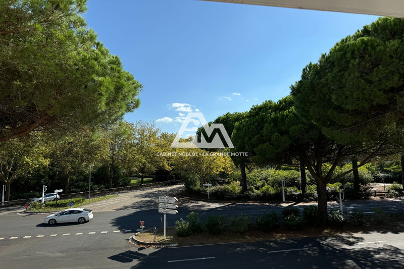 Vente studio cabine La Grande-Motte  