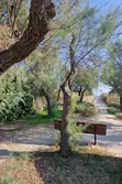Vente appartement La Grande-Motte  