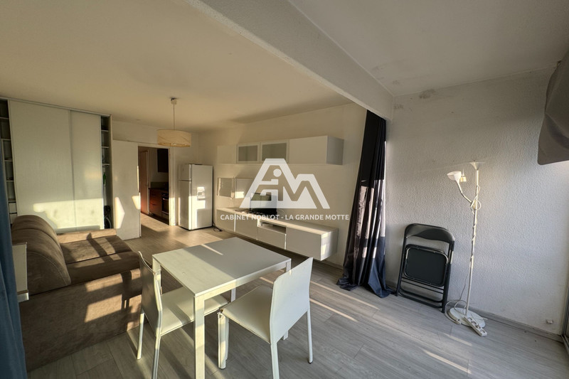 Appartement La Grande-Motte Centre ville,   achat appartement  1 pièce   24&nbsp;m&sup2;