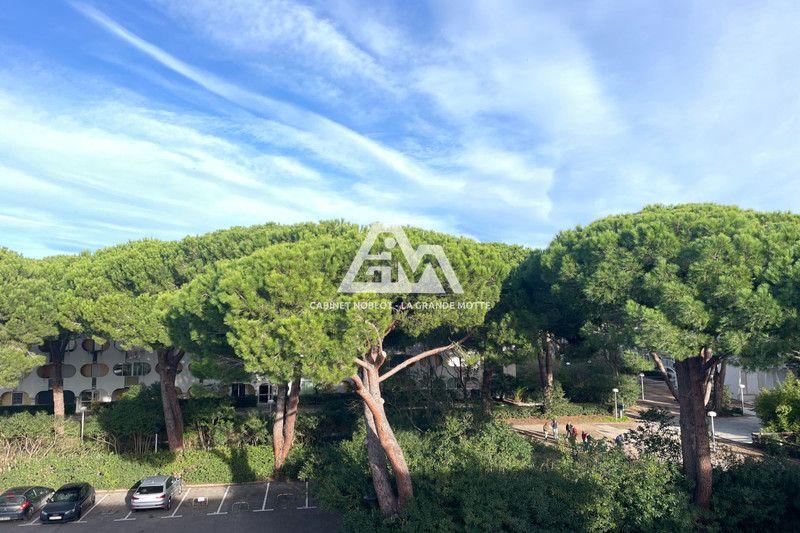 Vente appartement La Grande-Motte  