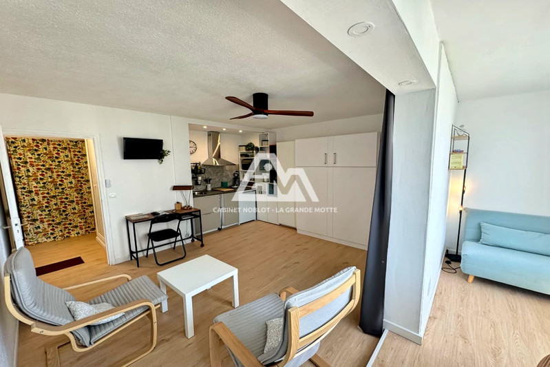 Appartement La Grande-Motte Centre ville,   achat appartement  1 pièce   22&nbsp;m&sup2;