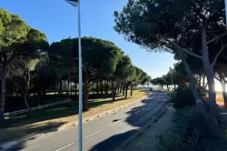 Vente studio cabine La Grande-Motte  