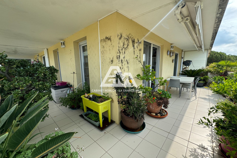 Vente appartement La Grande-Motte  