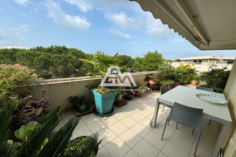 Photo Appartement La Grande-Motte Ponant,   achat appartement  4 pièces   92&nbsp;m&sup2;