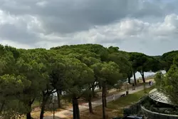 Vente appartement La Grande-Motte  