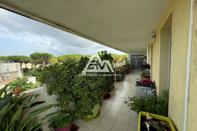 Vente appartement La Grande-Motte  
