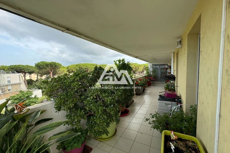 Vente appartement La Grande-Motte  