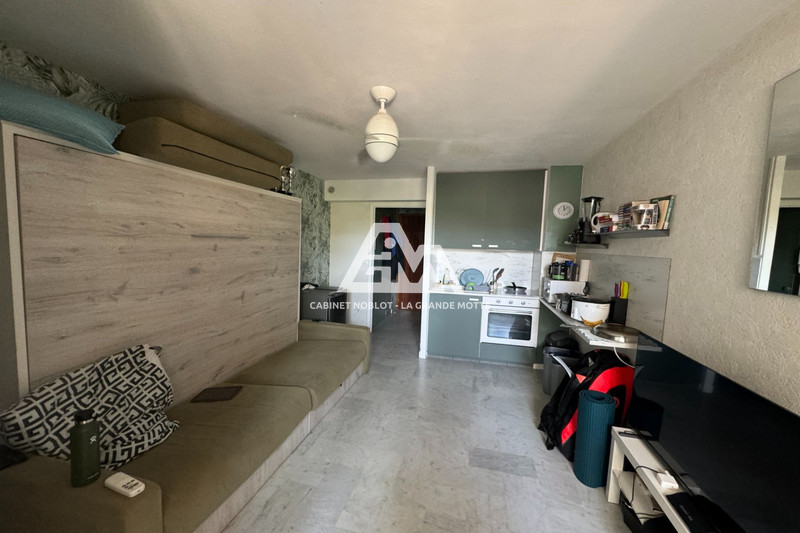 Photo Appartement La Grande-Motte Centre ville,   achat appartement  1 pièce   19&nbsp;m&sup2;