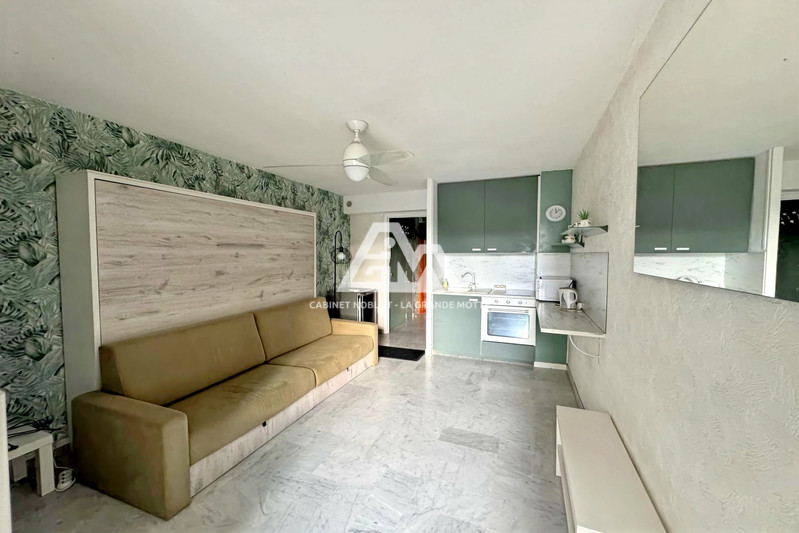 Appartement La Grande-Motte Centre ville,   achat appartement  1 pièce   19&nbsp;m&sup2;