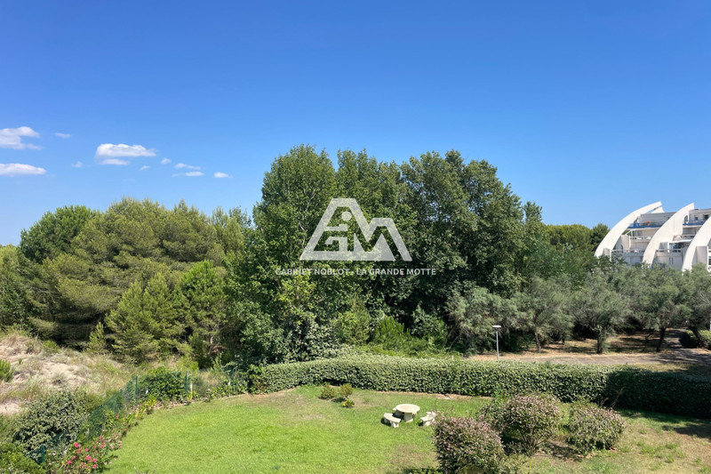 Photo Apartment La Grande-Motte Grand travers,   to buy apartment  3 rooms   37&nbsp;m&sup2;