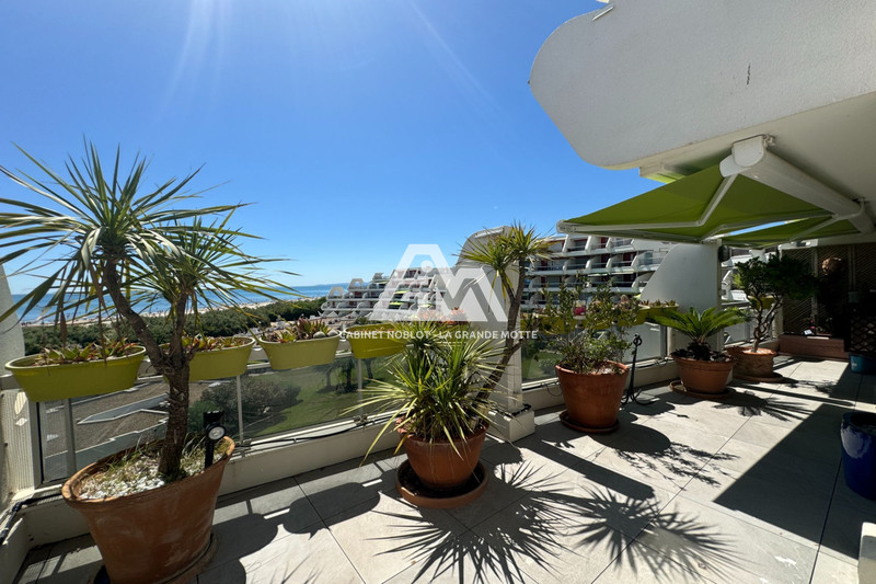 Vente appartement La Grande-Motte  