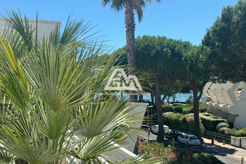 Viager appartement La Grande-Motte  