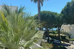Viager appartement La Grande-Motte  