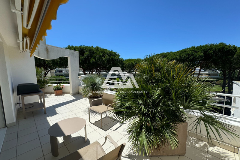 Viager appartement La Grande-Motte  
