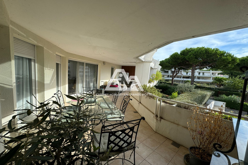 Photo Appartement La Grande-Motte Golf,   achat appartement  4 pièces   85&nbsp;m&sup2;